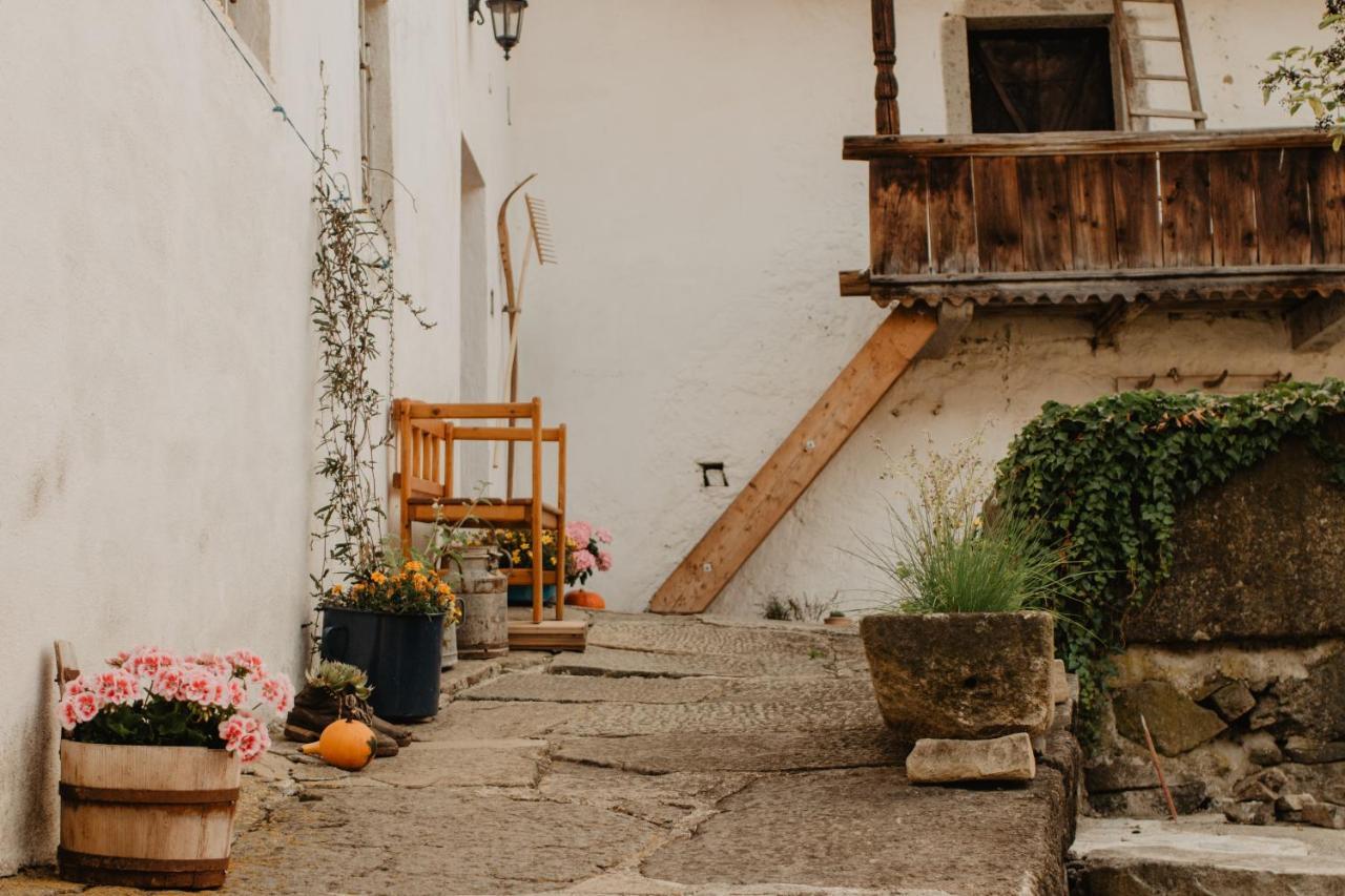 Ferienwohnung Im Muehlviertler Panorama Vierseithof Lembach im Mühlkreis Εξωτερικό φωτογραφία