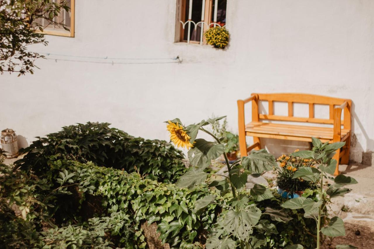Ferienwohnung Im Muehlviertler Panorama Vierseithof Lembach im Mühlkreis Εξωτερικό φωτογραφία